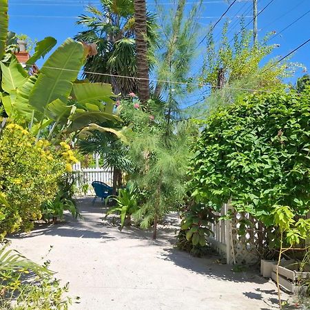 Amanda'S Place Green Studio - Pool And Tropical Garden Caye Caulker Eksteriør billede
