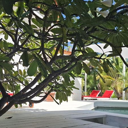 Amanda'S Place Green Studio - Pool And Tropical Garden Caye Caulker Eksteriør billede