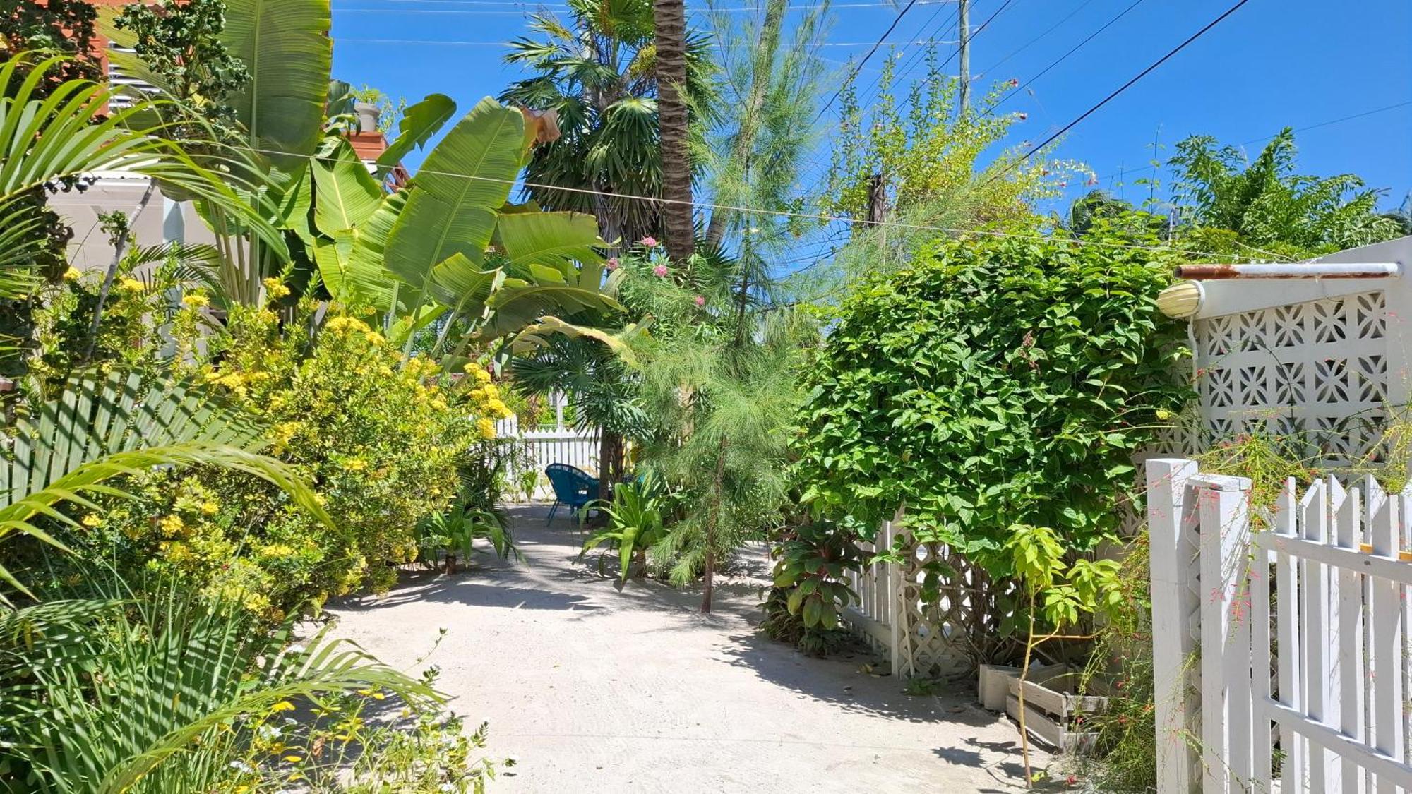 Amanda'S Place Green Studio - Pool And Tropical Garden Caye Caulker Eksteriør billede