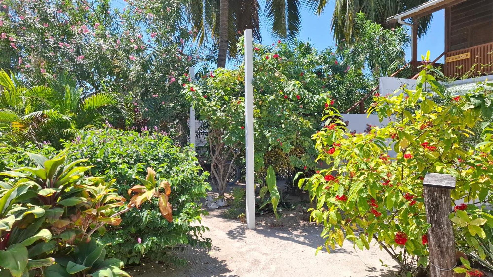 Amanda'S Place Green Studio - Pool And Tropical Garden Caye Caulker Eksteriør billede
