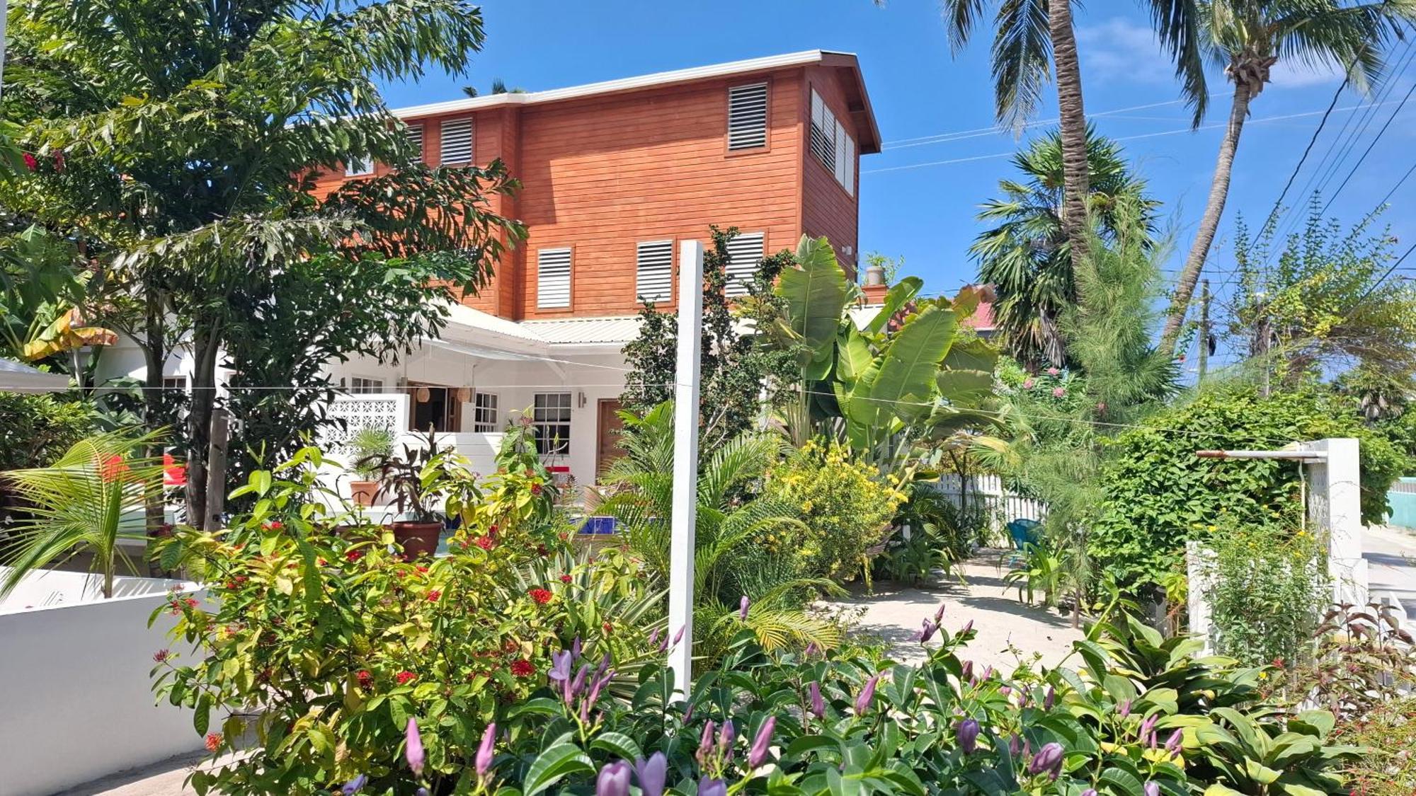 Amanda'S Place Green Studio - Pool And Tropical Garden Caye Caulker Eksteriør billede