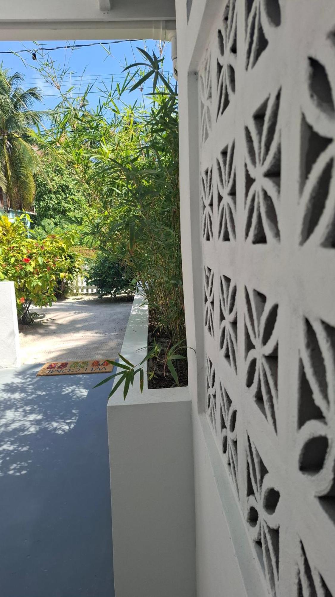 Amanda'S Place Green Studio - Pool And Tropical Garden Caye Caulker Eksteriør billede
