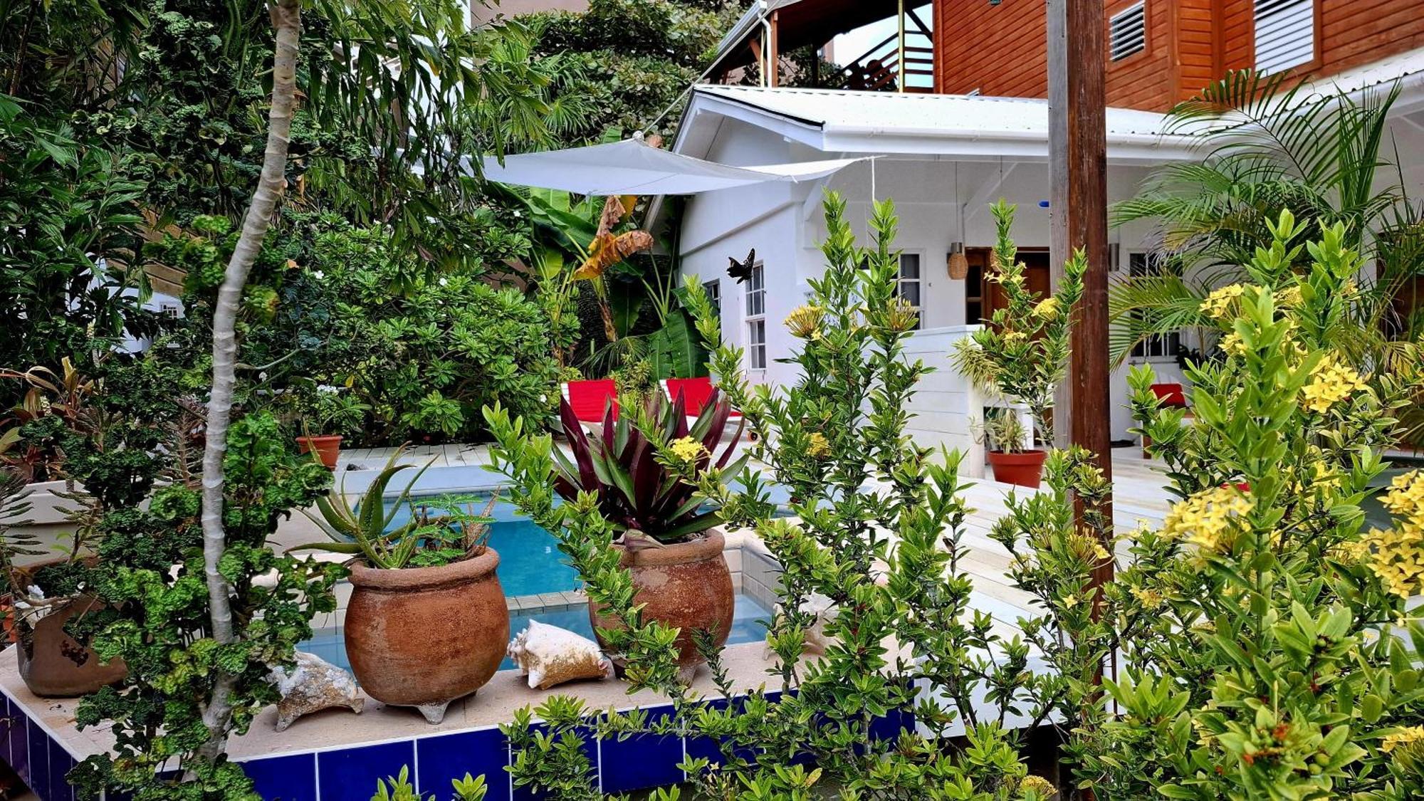 Amanda'S Place Green Studio - Pool And Tropical Garden Caye Caulker Eksteriør billede