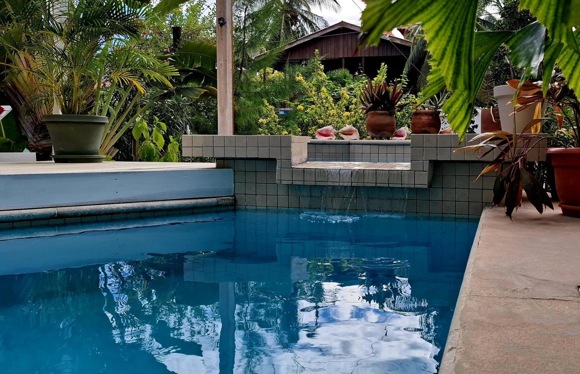 Amanda'S Place Green Studio - Pool And Tropical Garden Caye Caulker Eksteriør billede